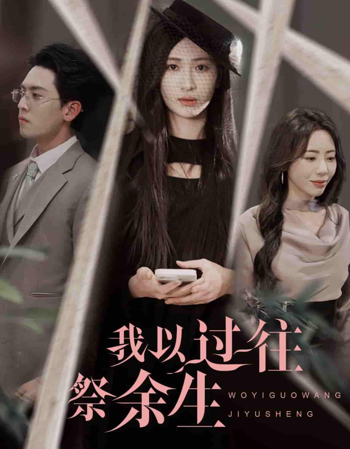 我以过往祭余生