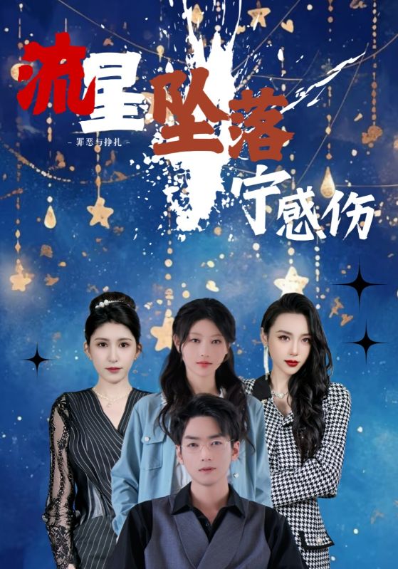 流星坠落宁感伤