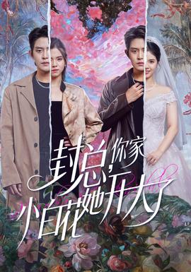 封总，你家小白花她开大了