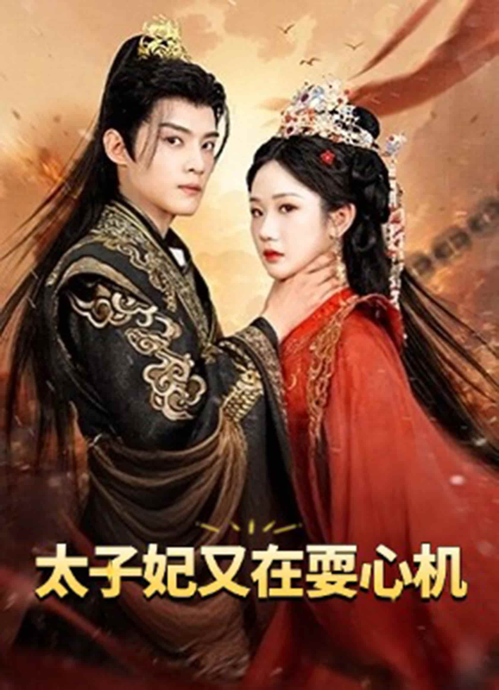 太子妃又在耍心机