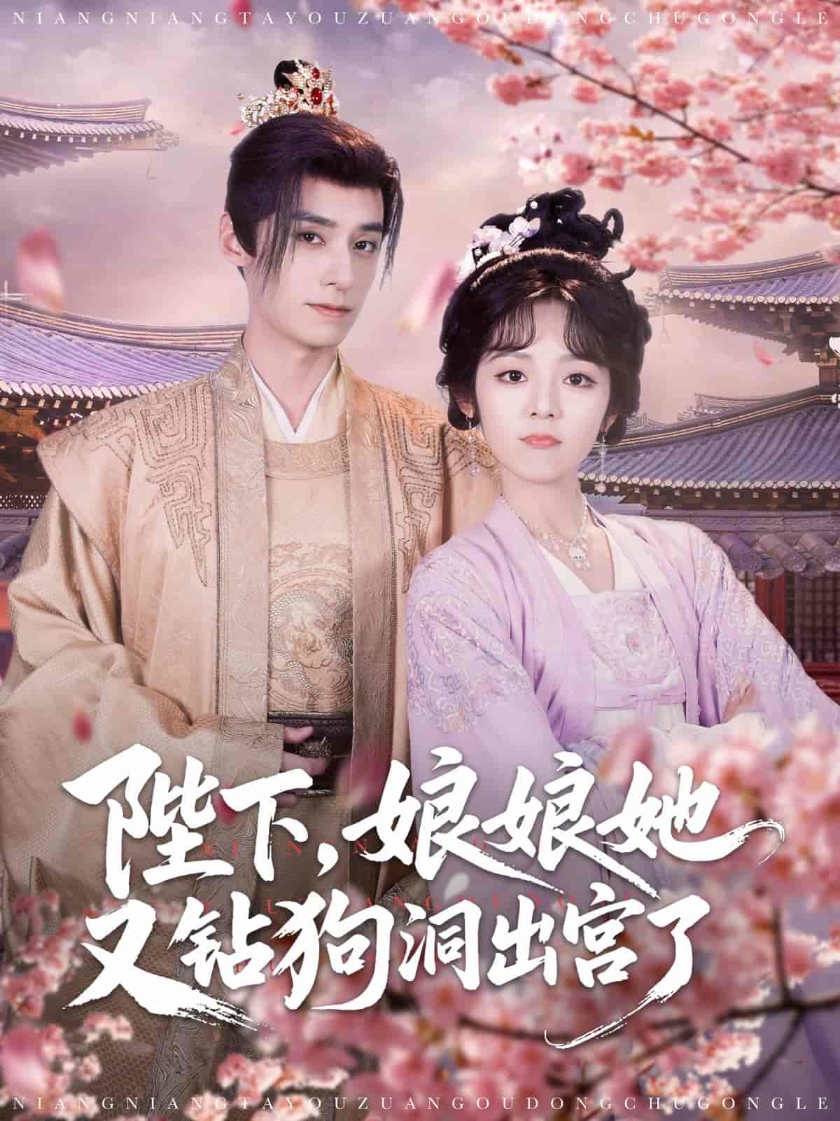 陛下娘娘她又钻狗洞出宫了