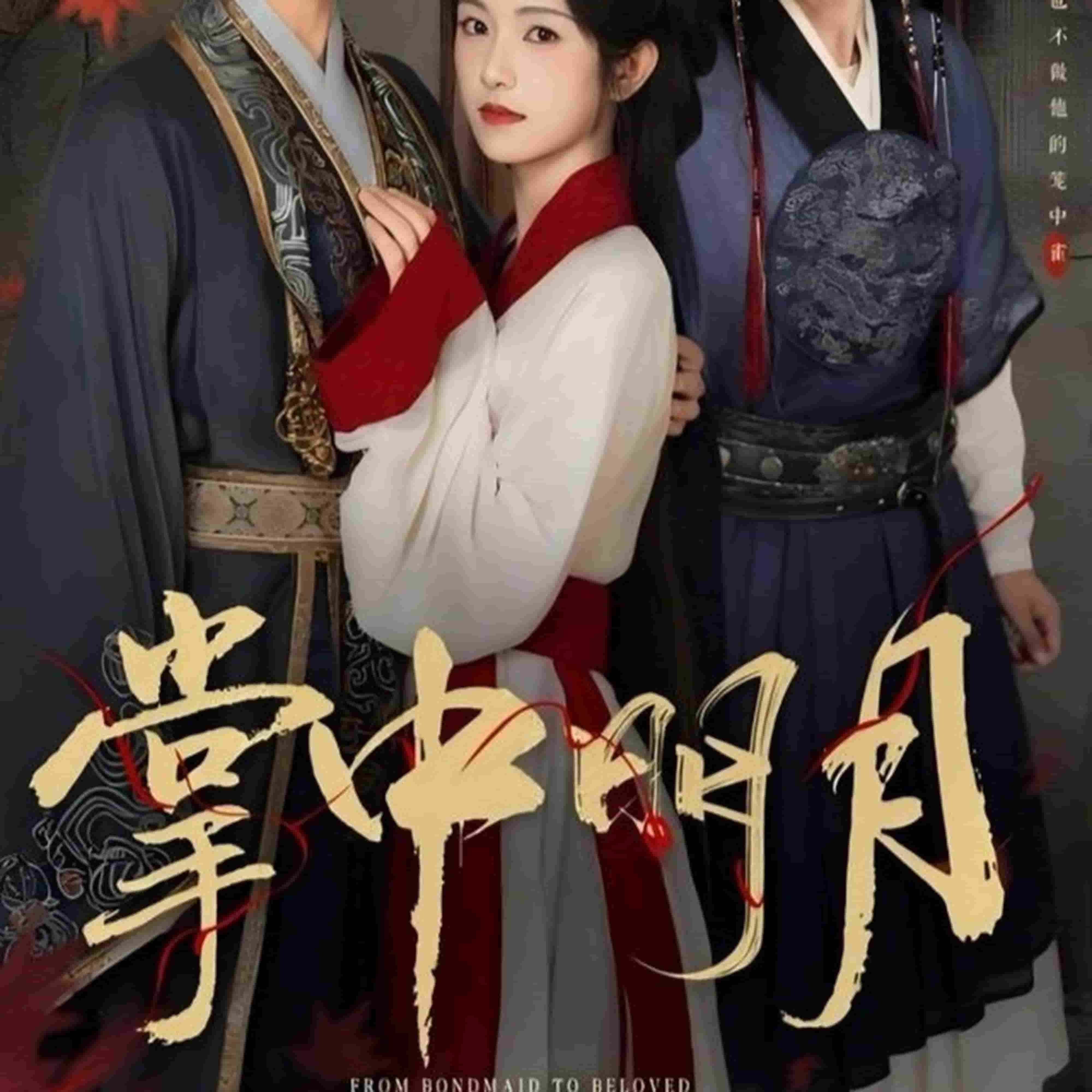 掌中明月