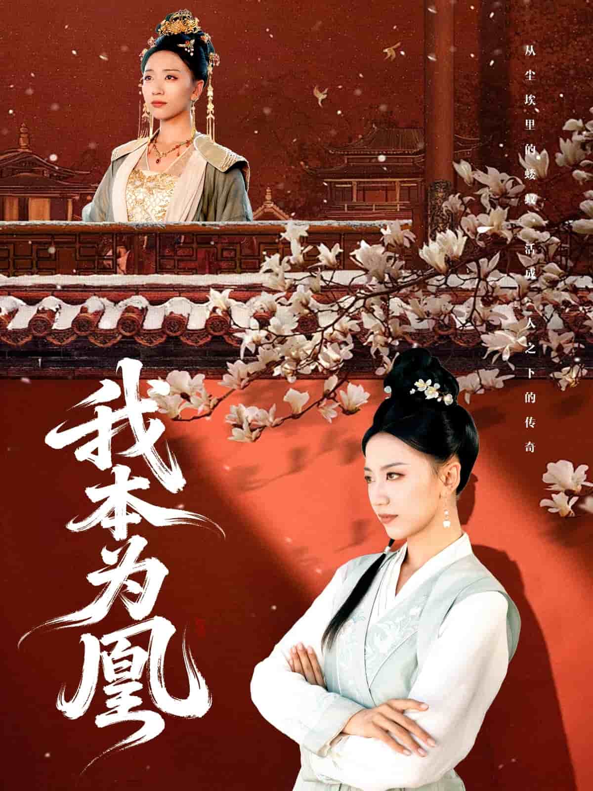 我本为凰