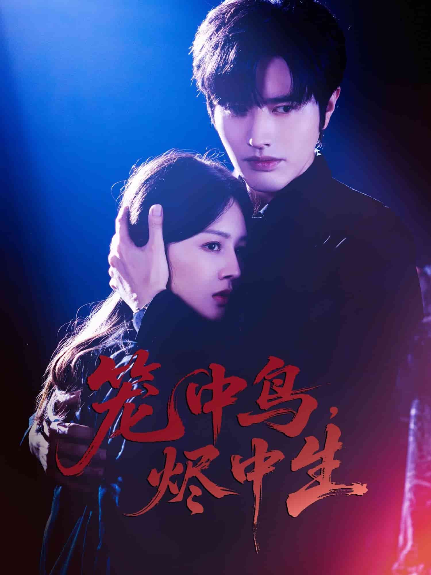 笼中鸟，烬中生