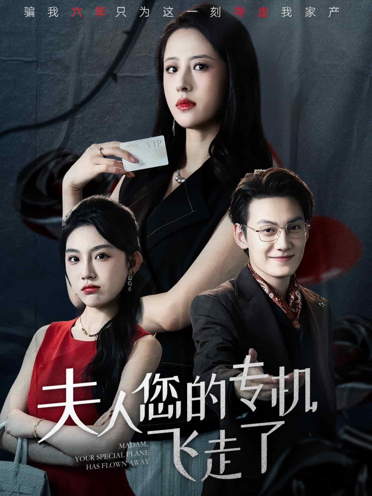 夫人您的专机飞走了